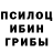 Псилоцибиновые грибы Cubensis Almor play